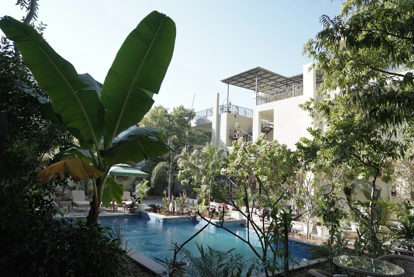 The boutique hotel pool and garden in daylight